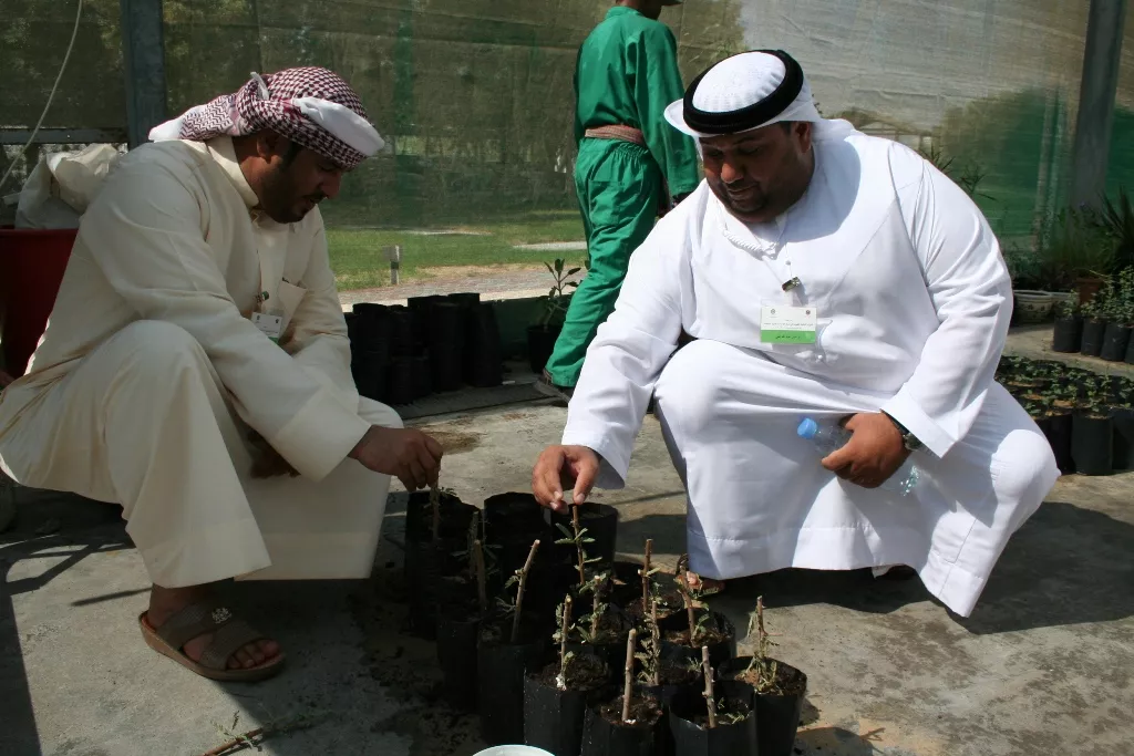 الموارد الوراثية النباتية في الإمارات العربية المتحدة 