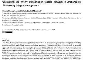 Unraveling the WRKY transcription factors network in Arabidopsis Thaliana by integrative approach