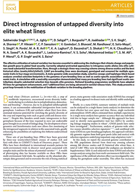 Direct introgression of untapped diversity into elite wheat lines