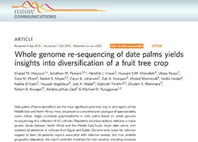 Whole genome re-sequencing of date palms yields insights into diversification of a fruit tree crop