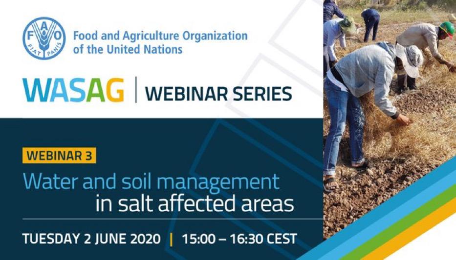 Water and Soil Management in salt affected areas practical solutions